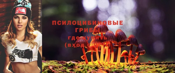 СК Арсеньев