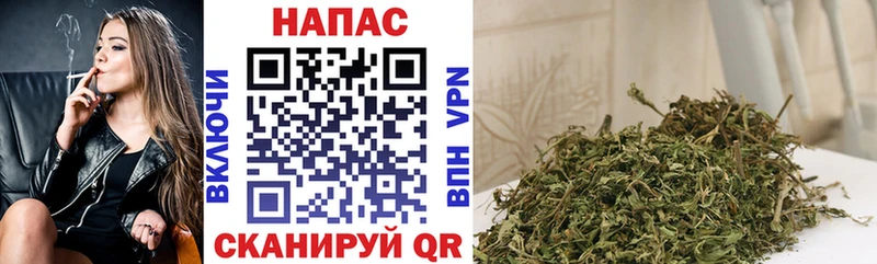 МЕГА онион  Краснослободск  Шишки марихуана гибрид 